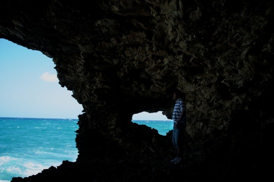 Animal Flower Cave