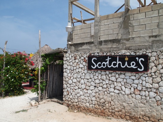 Scotchie's Scotchies Montego Bay