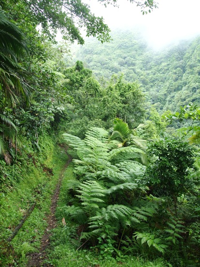 The Source Hiking Trail