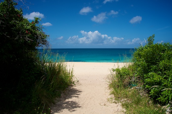 Path to Clothing Optional Long Bay Beach Path to Clothing Optional Long Bay Beach