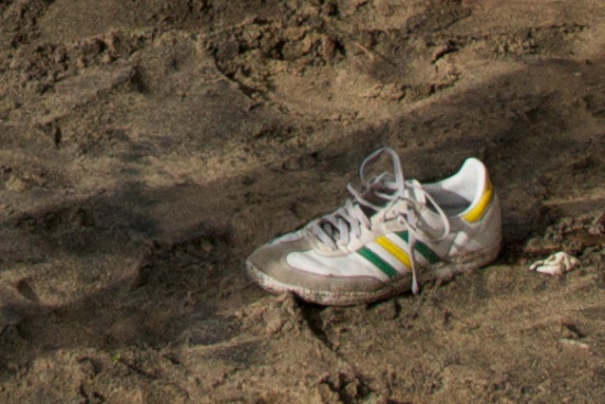 Lost shoe