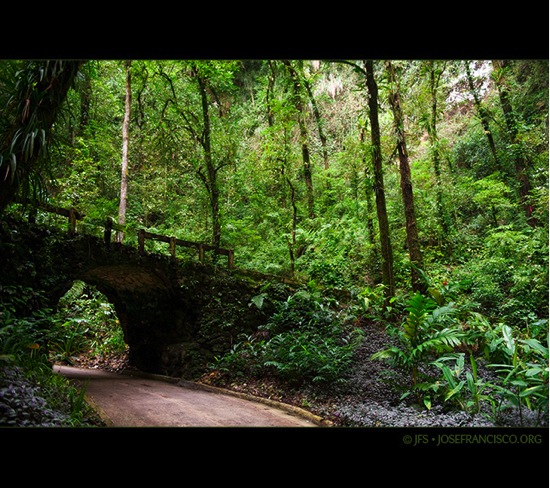 Cavernas del Río Camuy