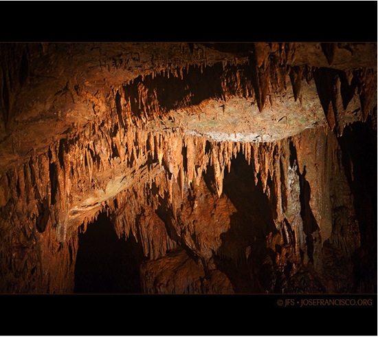 Cueva Clara: Bat Cave