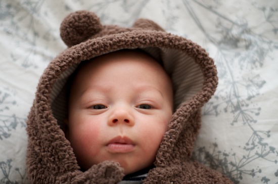 New Baby Infant Traveler New Baby Infant Traveler