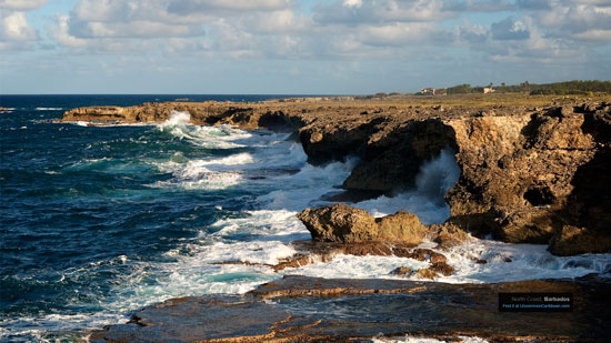 Barbados' North Coast