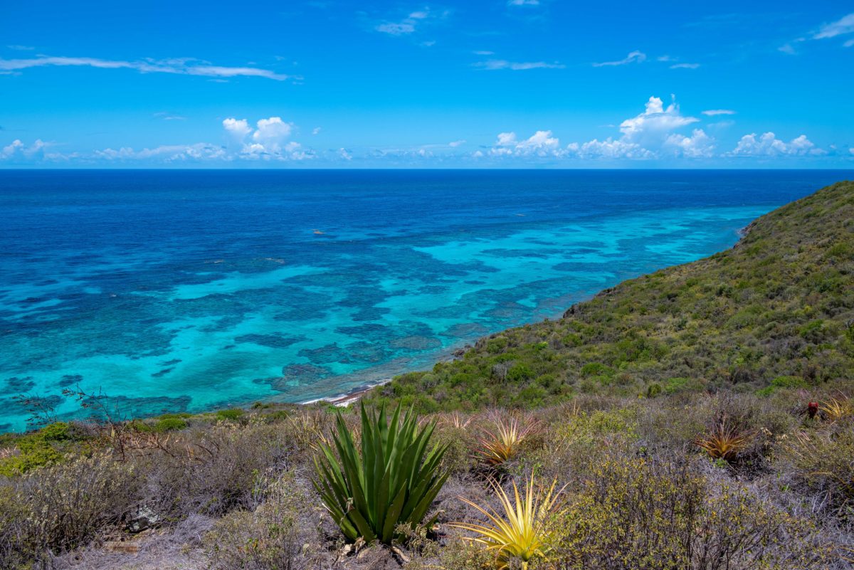 Buck Island North Shore