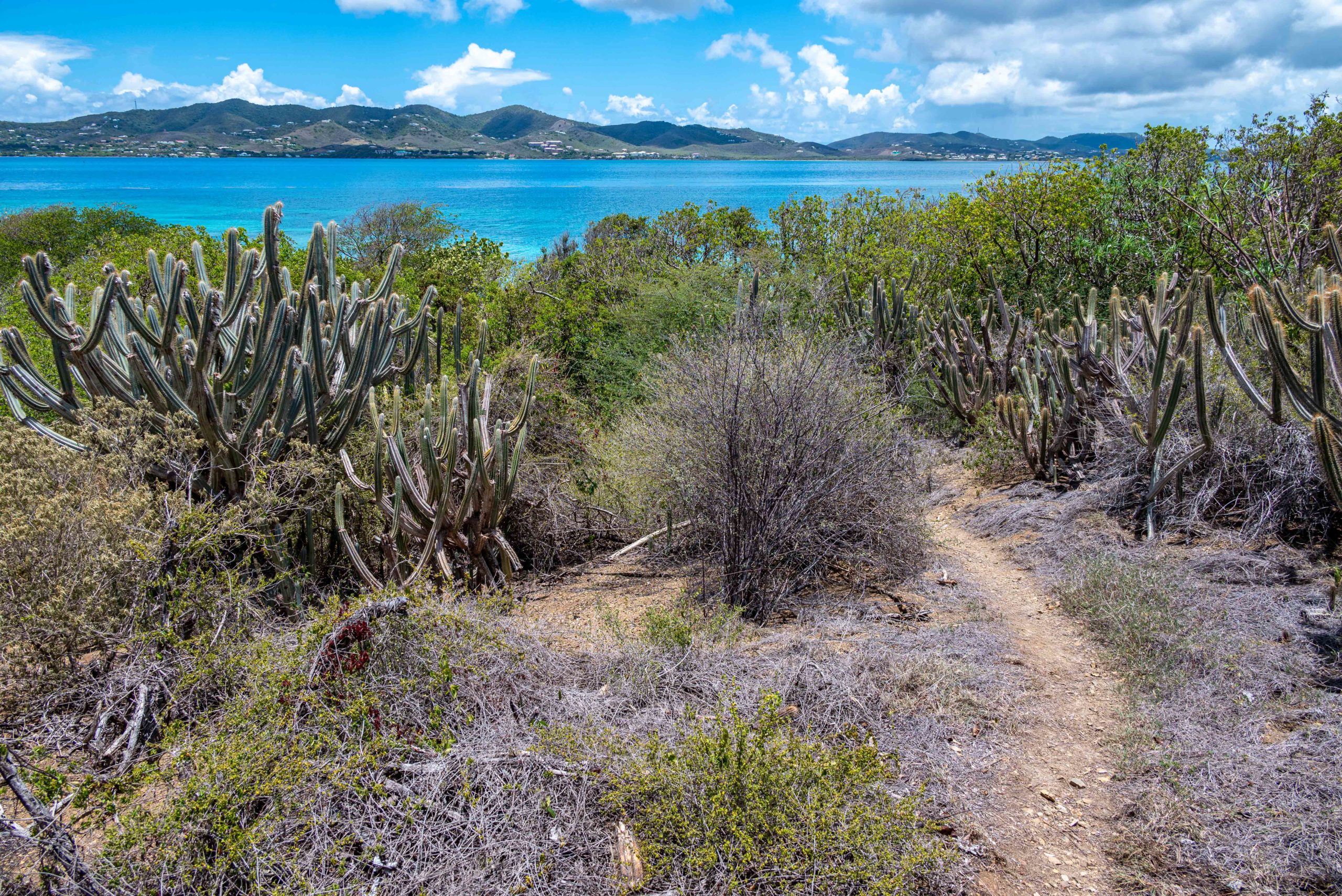 Buck Island Hiking Guide