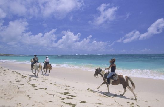 Horseback riding Anse Grosse Roche, Martinique
