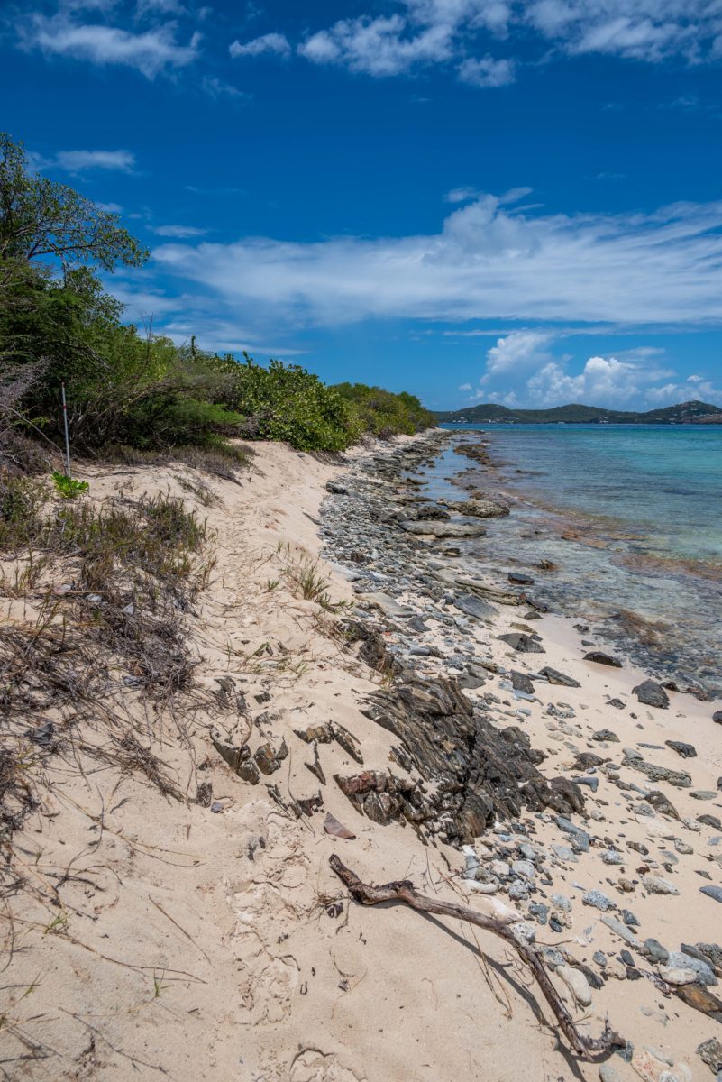 Coastal path heading east