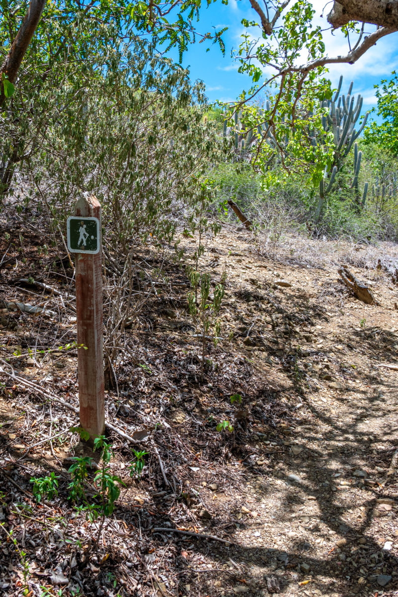 Buck Island Hiking Trail southern trailhead