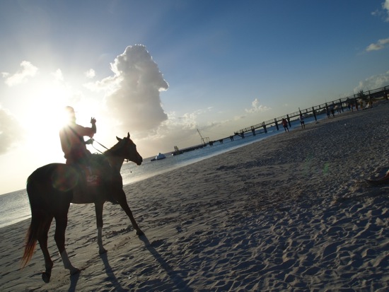 Horseback riding, Carlisle Bay, Barbados