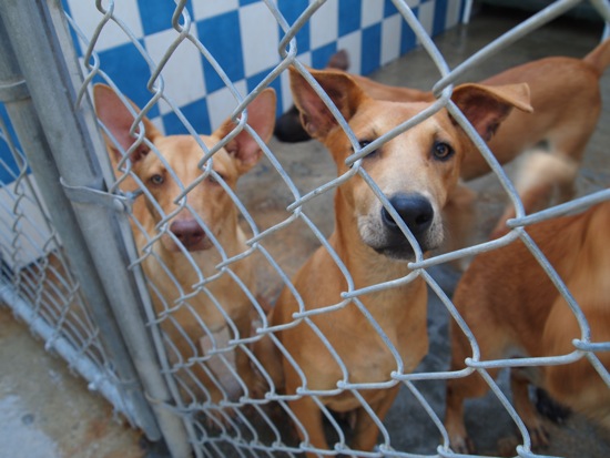 Take us home, please...?