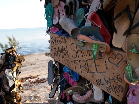 Cayman Shoe Tree