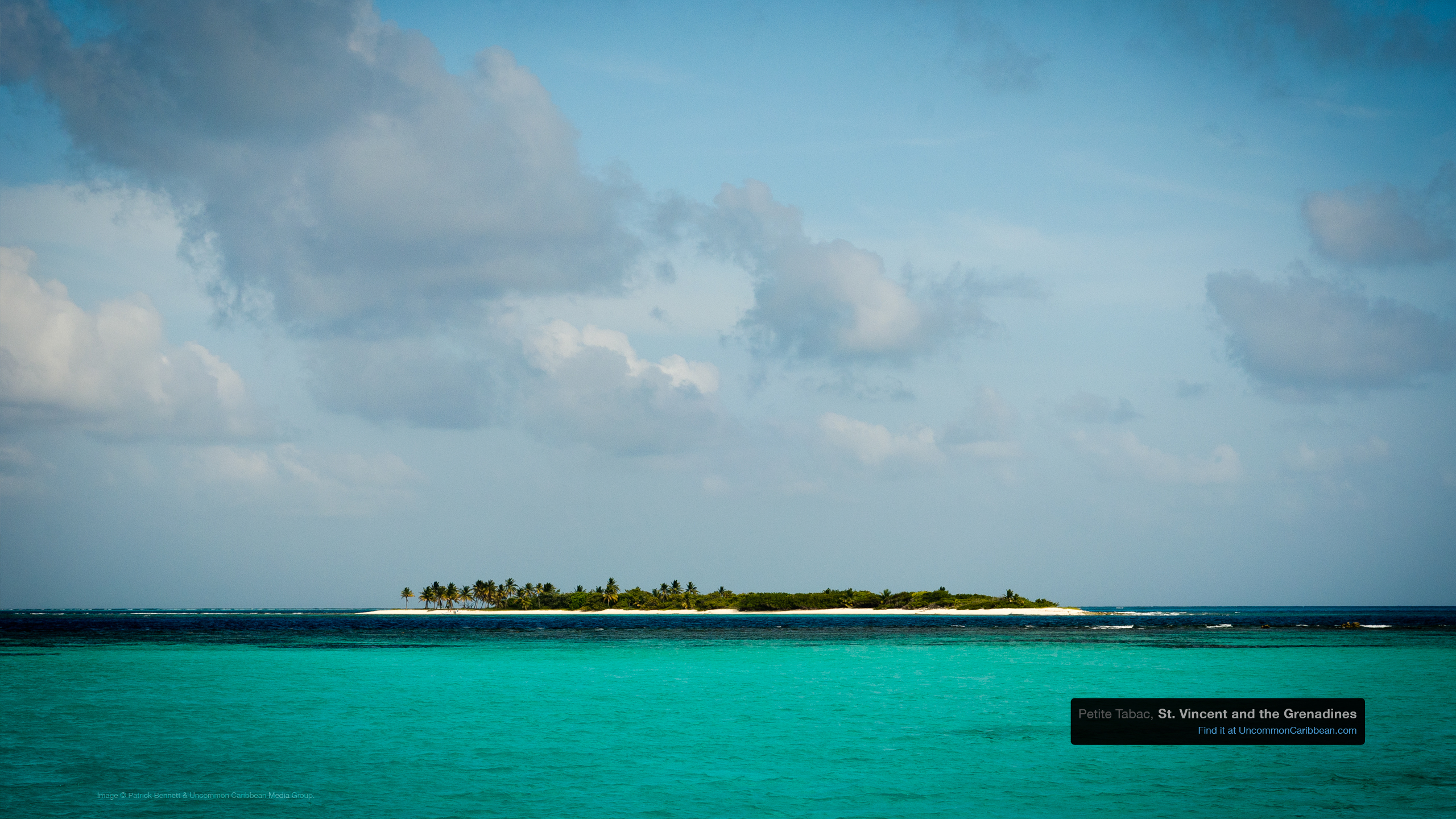 Petit Tabac, Tobago Cays in the Grenadines by Patrick Bennett