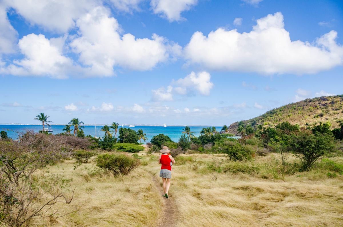 Happy Bay St. Martin path