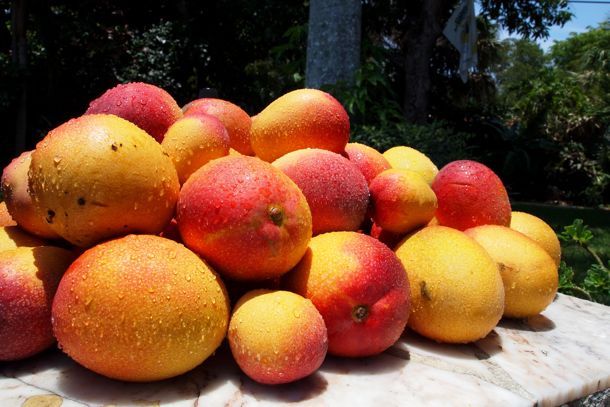 Bumper crop!