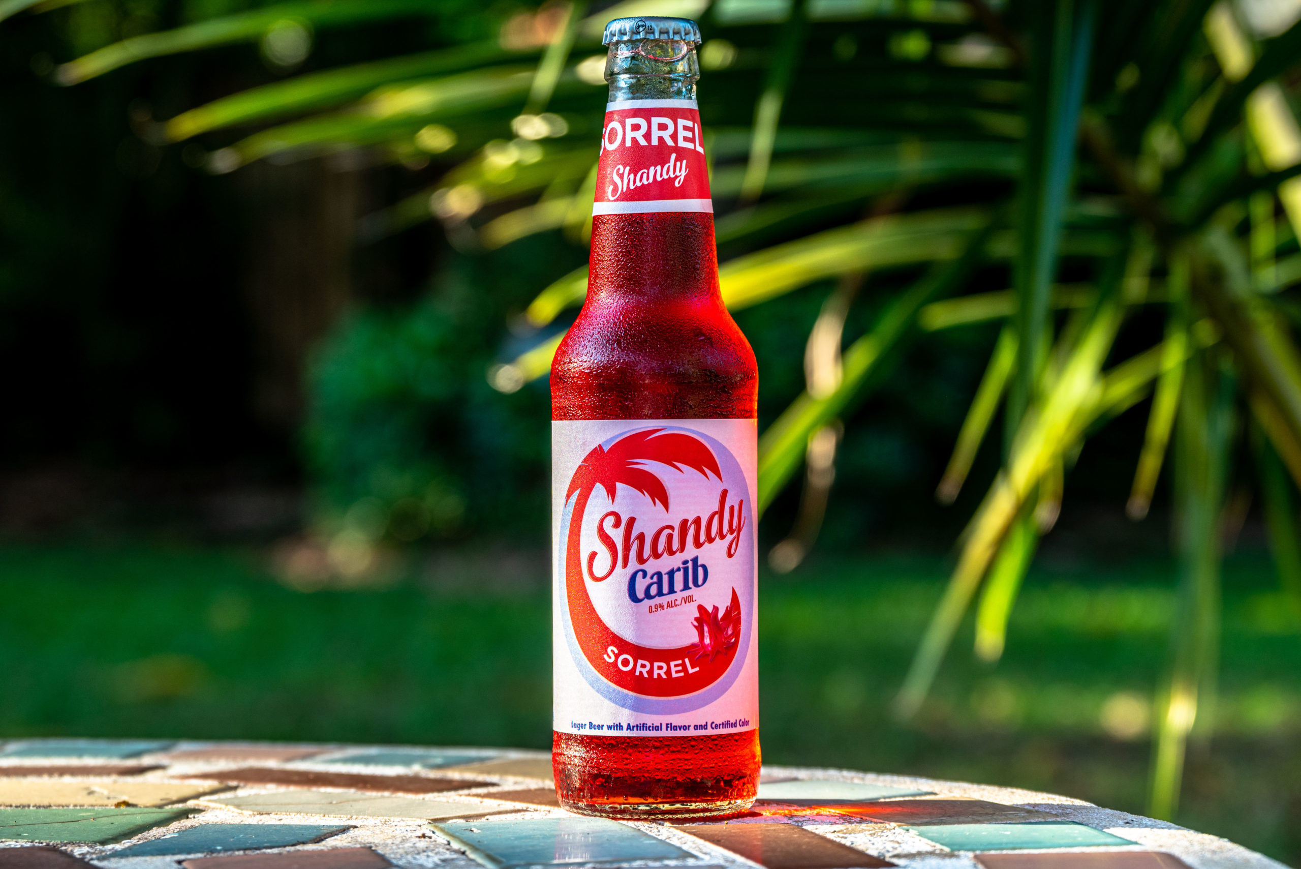 Shandy Carib Sorrel