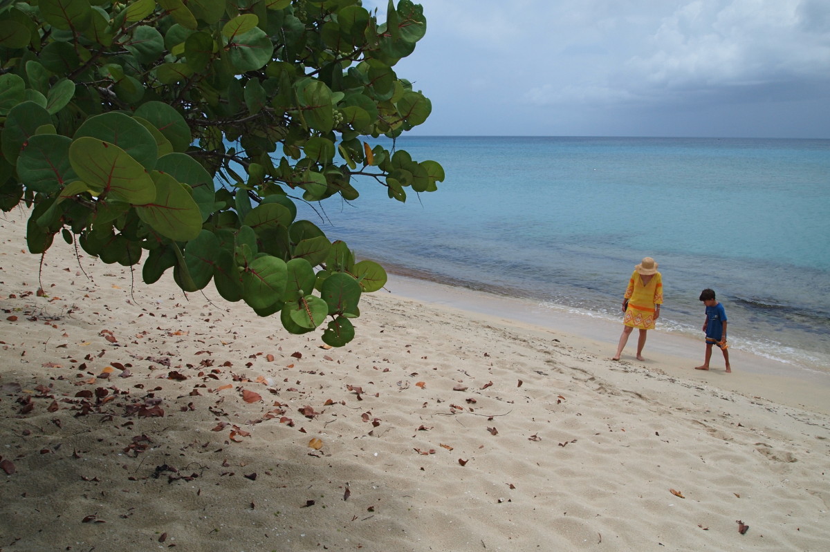 Sandy Point, St. Croix Sandy Point, St. Croix