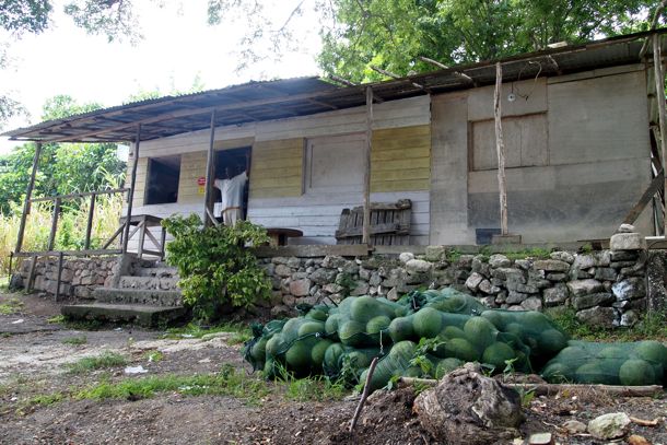 Willy's Willy's Place, Mt Zion Jamaica