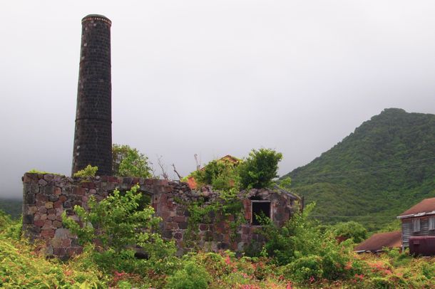 Beware The Mystical Silk Cotton Tree: Haunted Caribbean