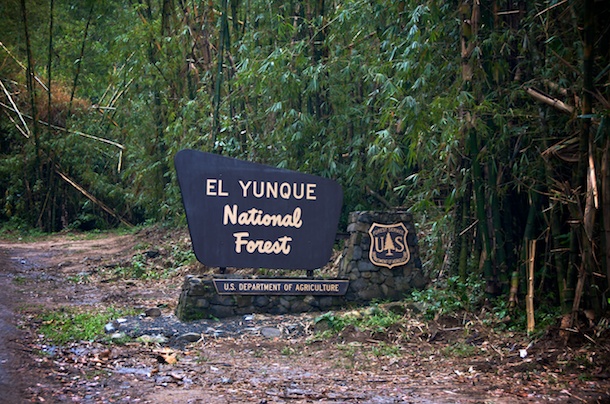 El Yunque National Forest, Puerto Rico sign