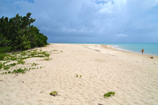 Solitary bliss at Sandy Point