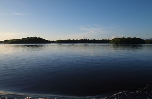 Caroni Swamp and Bird Sanctuary