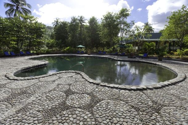 Natural saltwater pool