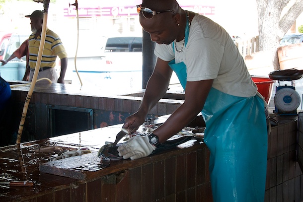 Fish Cleaner, Oistins Fish Market By Day, Barbados by Patrick Bennett Fish Cleaner, Oistins Fish Market By Day, Barbados by Patrick Bennett
