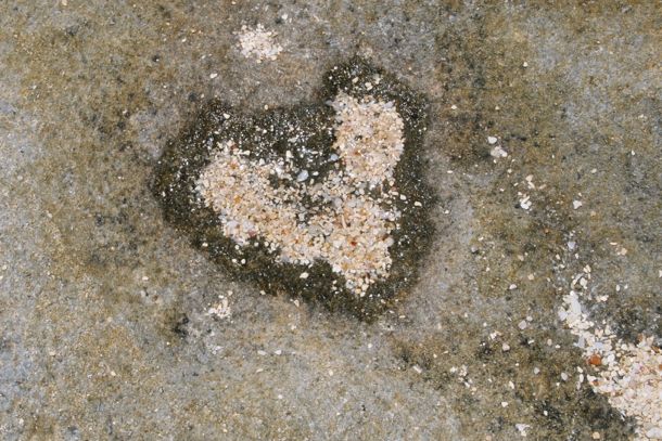 Natural love