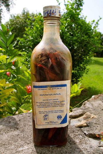 What The Heck Is The Dominican Drink Mama Juana?