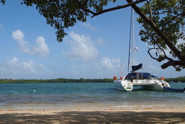 Tradewinds Cruises