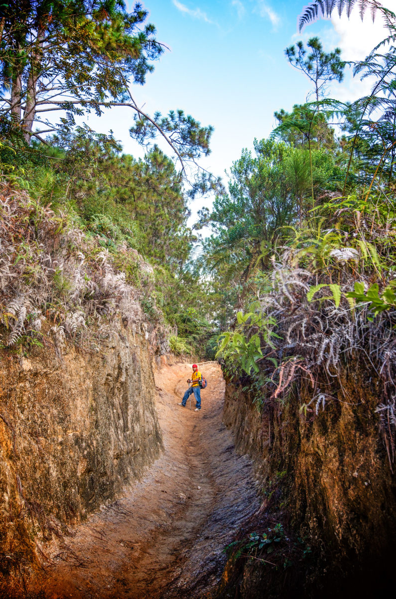 Climbing Pico Duarte