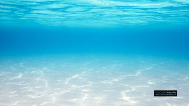 Clear Waters, Caribbean Wallpaper by Patrick Bennett