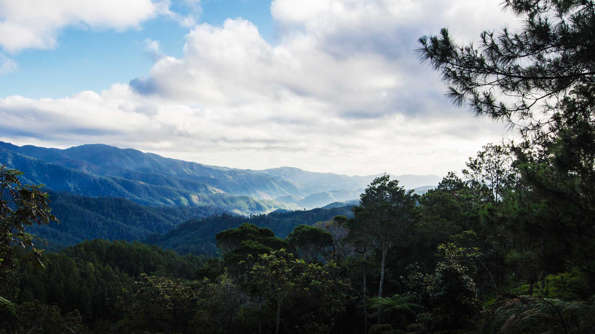 The Cordillera Central, Dominican Republic Wallpaper by Patrick Bennett