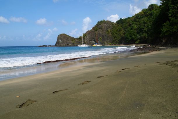 Cotton Bay Tobago