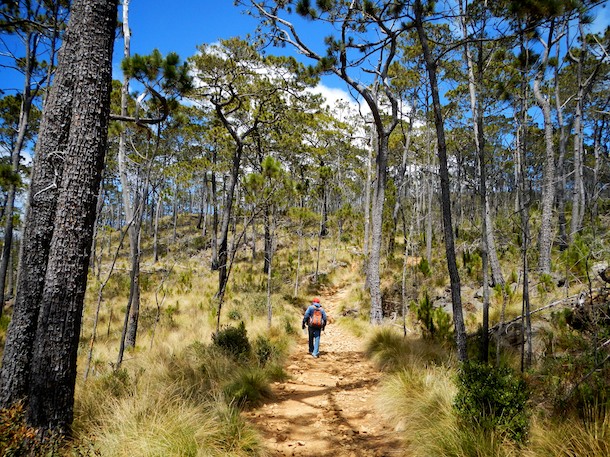 Climbing Pico Duarte by Patrick Bennett