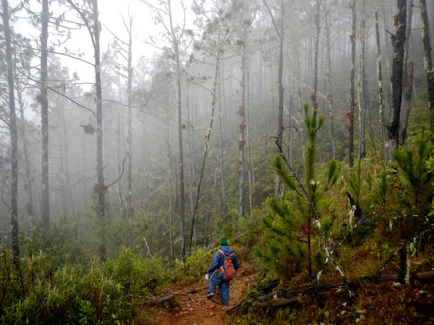 Clouds Roll In Climbing Pico Duarte by Patrick Bennett