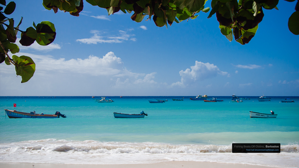 Fishing Boats Off Oistins Barbados by Patrick Bennett