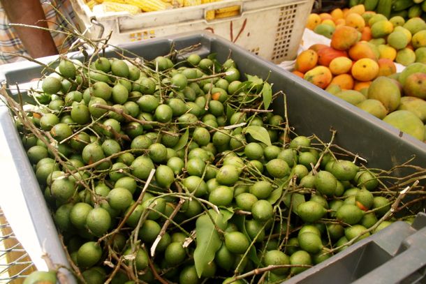 Genips on sale in Roseau, Dominica