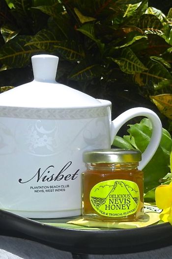 Nisbet Newlywed Honey