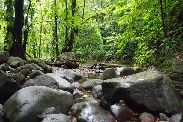 Rocky river bed