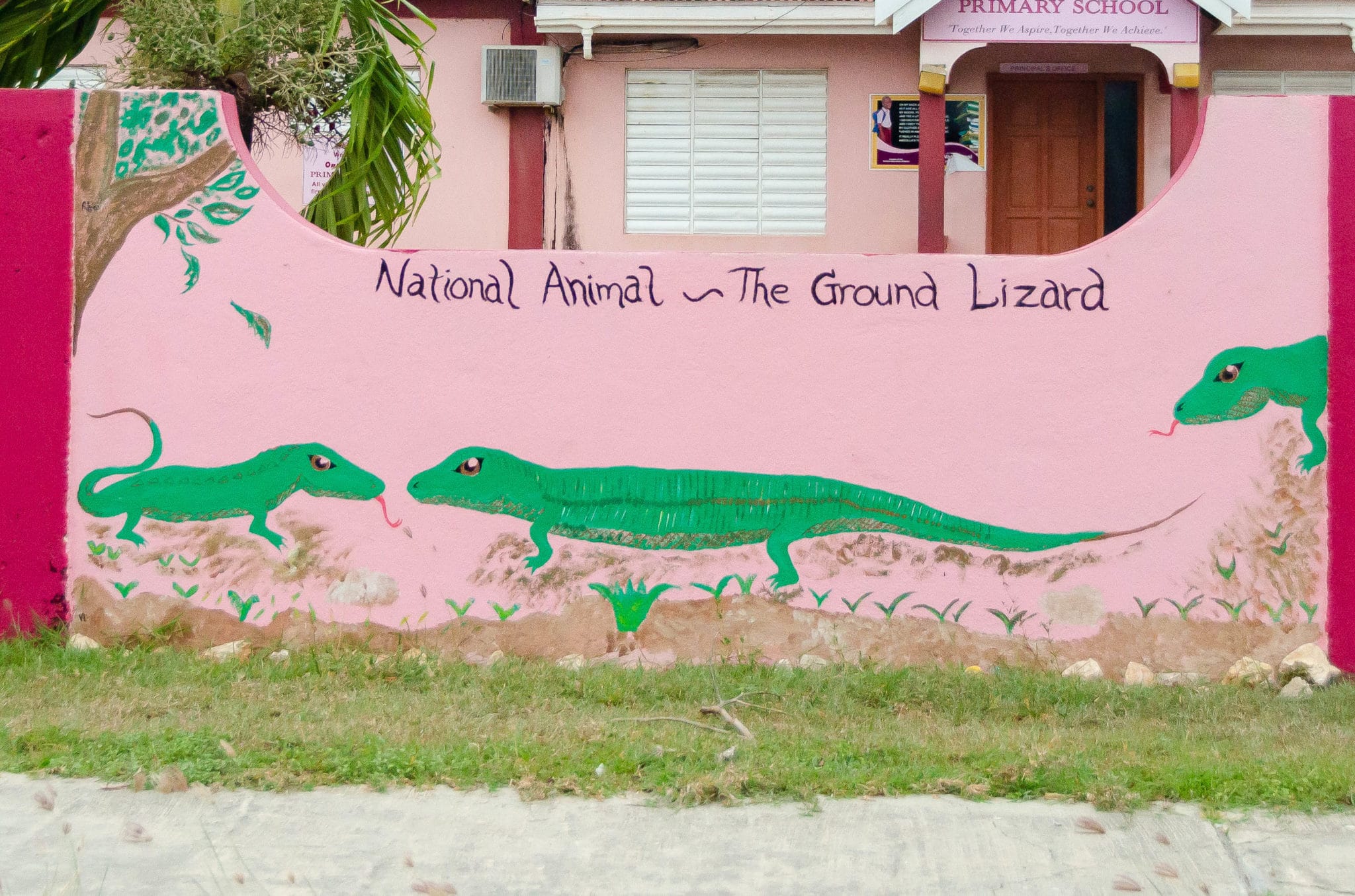 Anguilla National Symbols - Ground Lizard