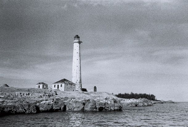 Beware The Mystical Silk Cotton Tree: Haunted Caribbean