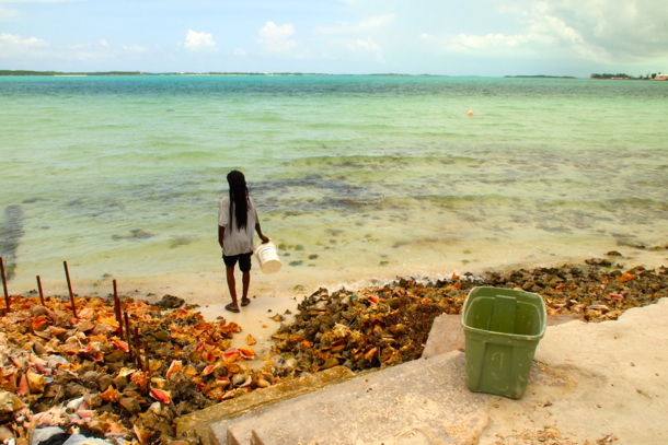 Fetching de conch Fetching de conch