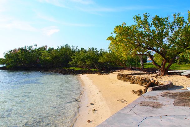Pineapples' Beach Pineapples' Beach