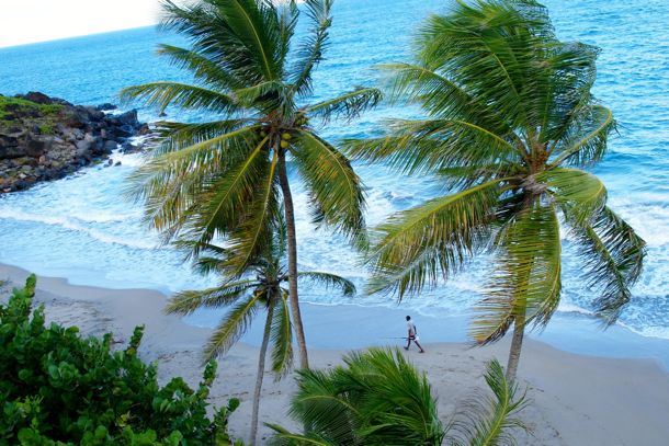 Petite Anse Petite Anse