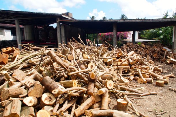 Firewood at River Antoine