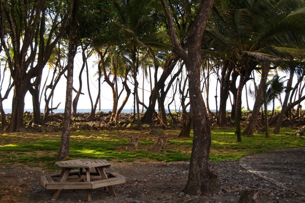 Rosalie Bay shoreline