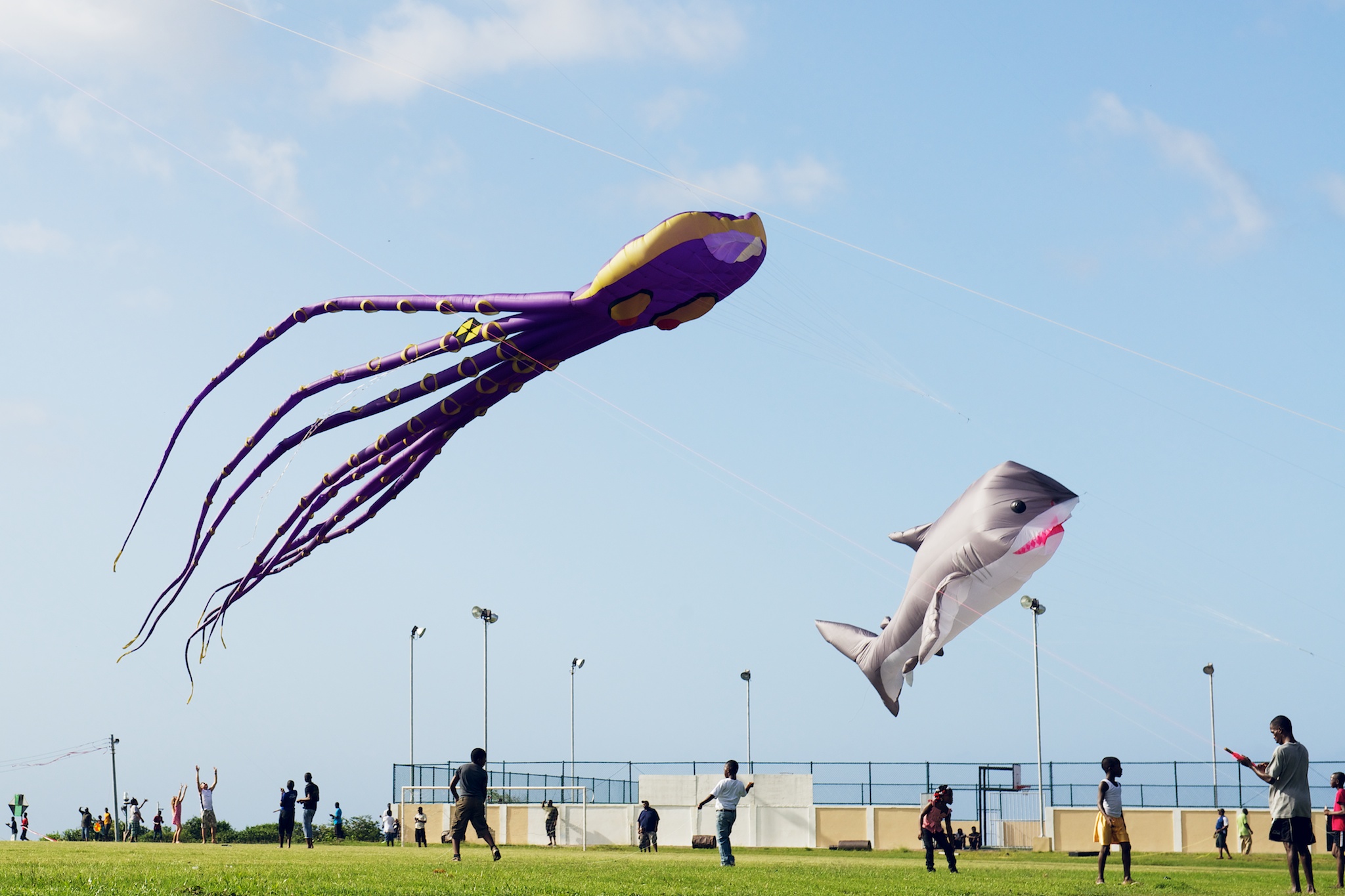 Kite Flying at the Tobago Flying Colours Kite Festival
